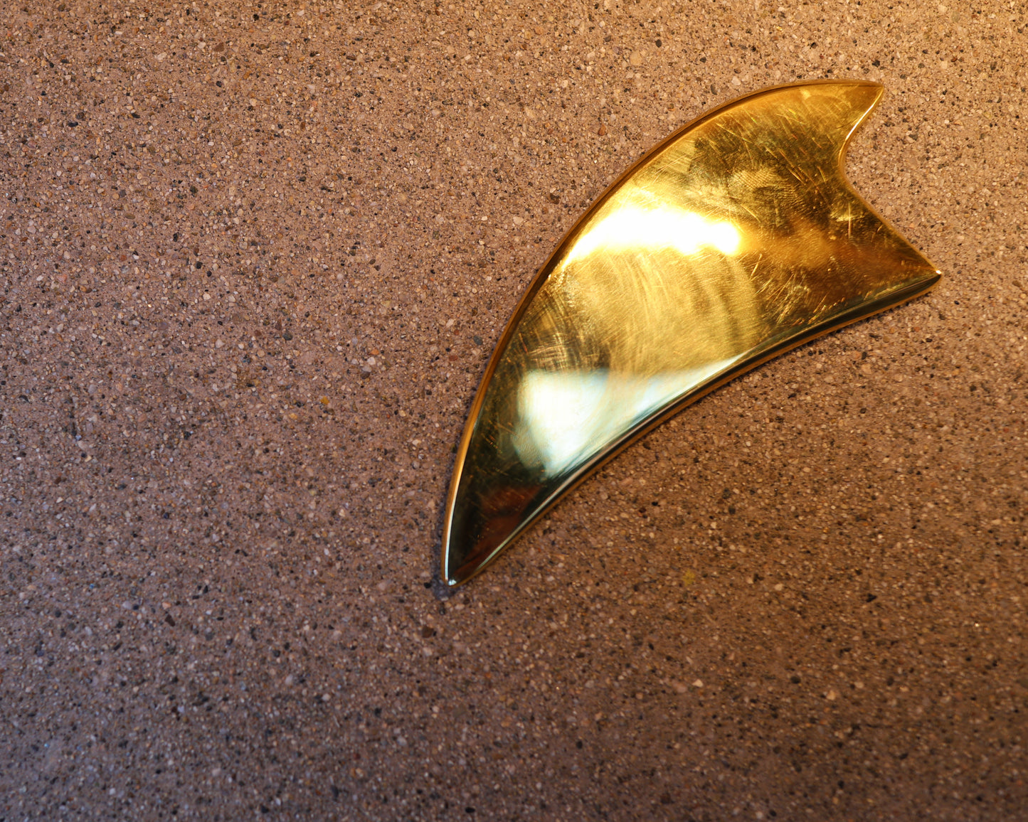 Dr. Don Shark Scraper